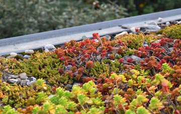 the cost of Dolwyd green roof installation