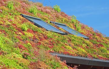 Dolwyd living roof systems